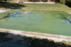 IMG_20210416_170524